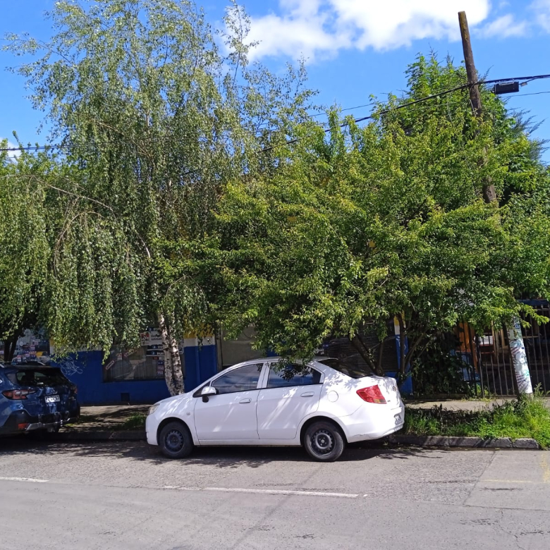 TEMUCO PROPIEDAD CENTRAL: 2 CASAS – LOCAL – ESTACIONAMIENTO