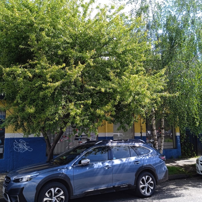 TEMUCO PROPIEDAD CENTRAL: 2 CASAS – LOCAL – ESTACIONAMIENTO