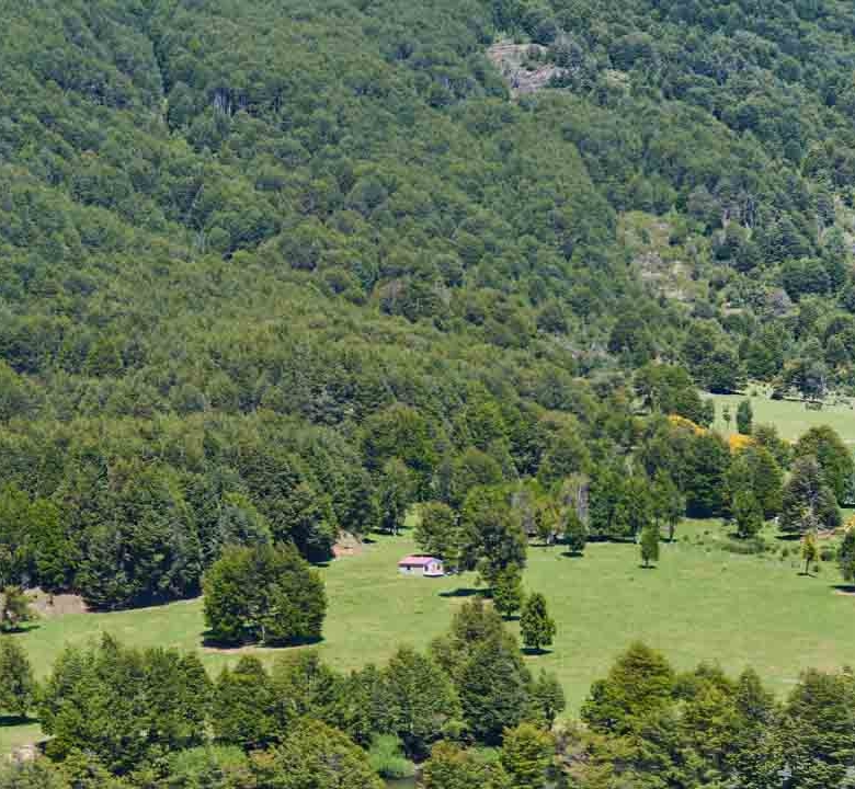 Refugio del Alba – Vive la Patagonia Profunda con Acceso Privilegiado al Río Cisnes