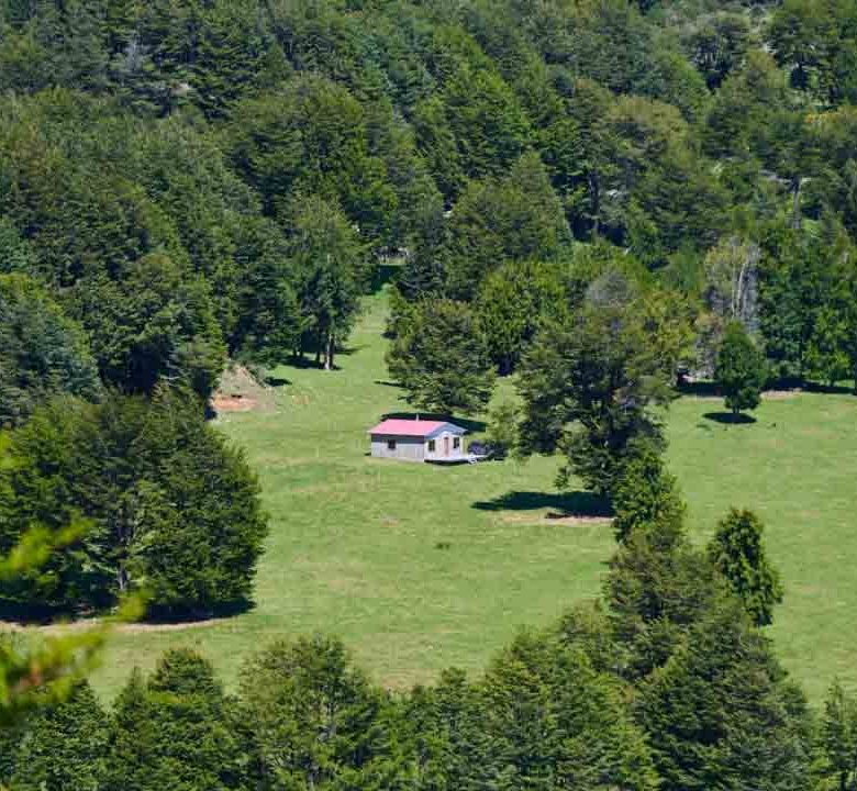 Refugio del Alba – Vive la Patagonia Profunda con Acceso Privilegiado al Río Cisnes