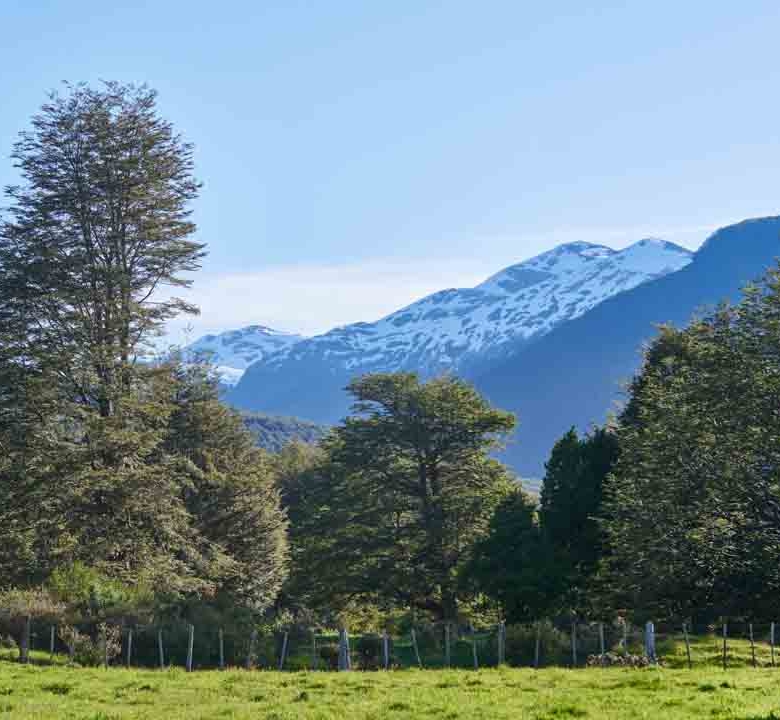 Refugio del Alba – Vive la Patagonia Profunda con Acceso Privilegiado al Río Cisnes