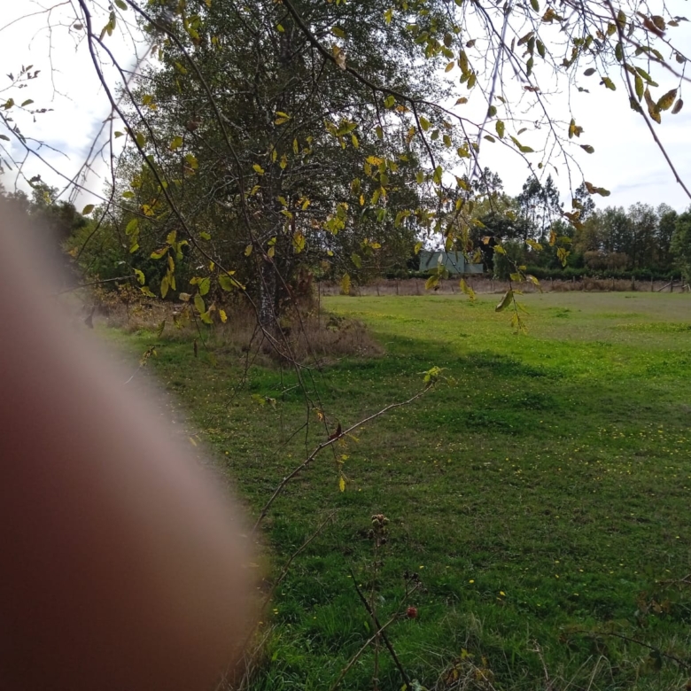 VENDO PARCELA CERCA DE TEMUCO – 25 KILOMETROS – CHILENA – PAVIMENTADO