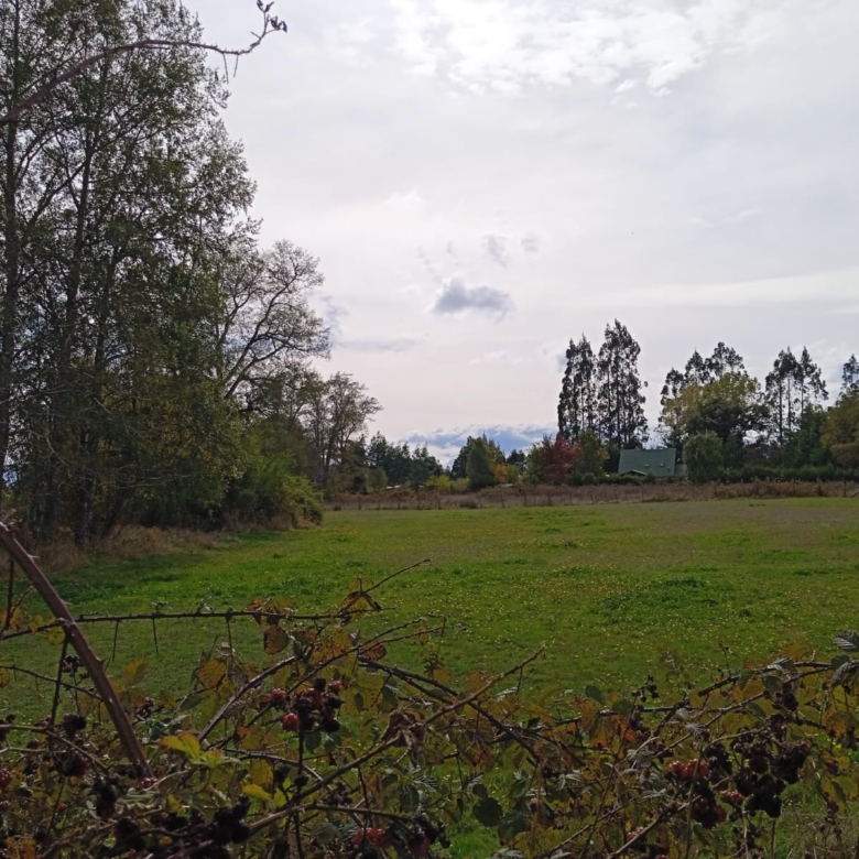 VENDO PARCELA CERCA DE TEMUCO – 25 KILOMETROS – CHILENA – PAVIMENTADO