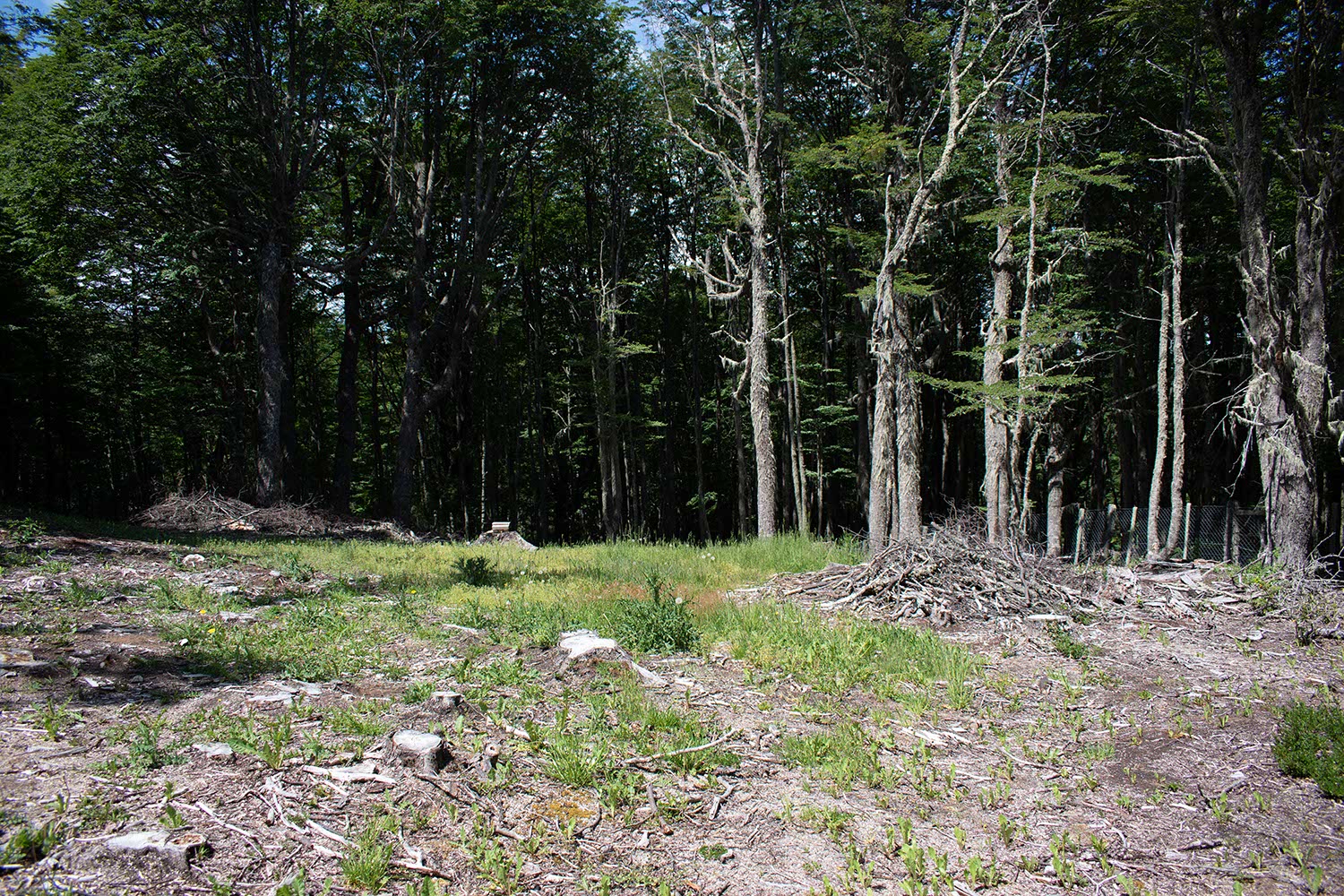 sector_fraile_01 Sector El Fraile