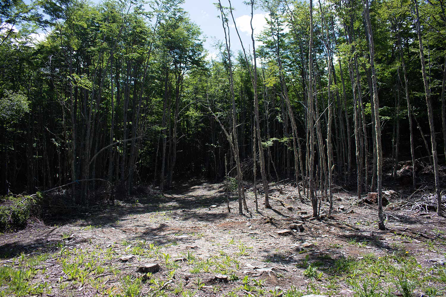 sector_fraile_03 Sector El Fraile