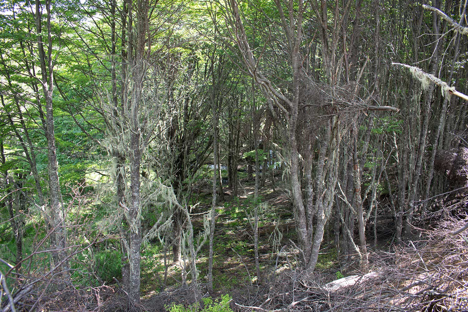 sector_fraile_04 Sector El Fraile