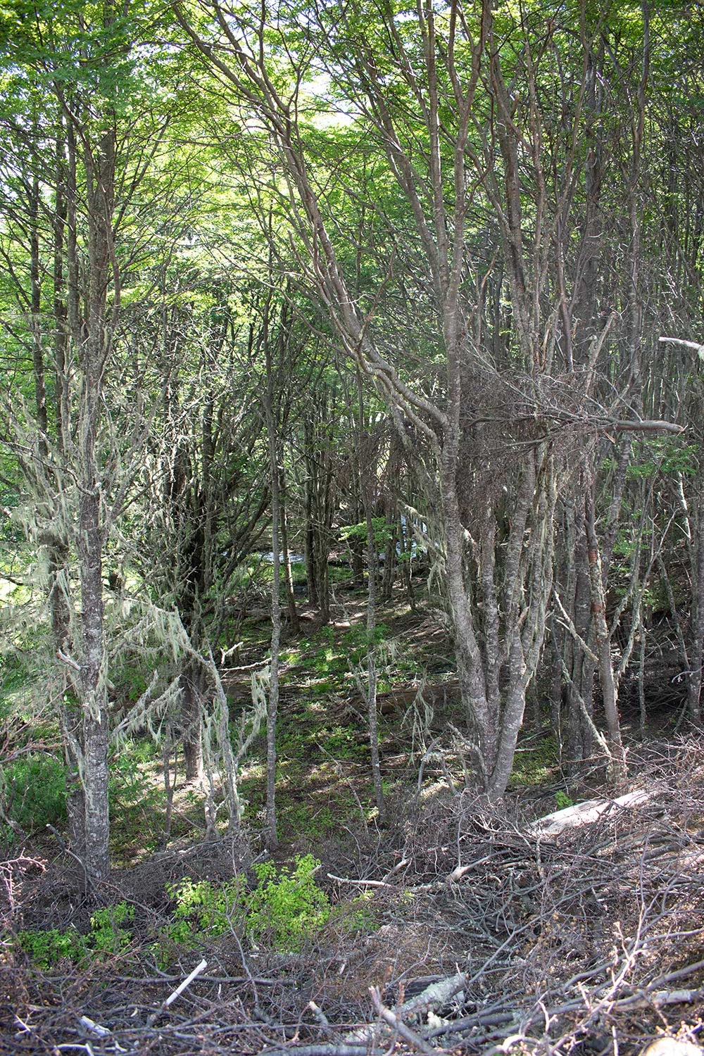 sector_fraile_05 Sector El Fraile