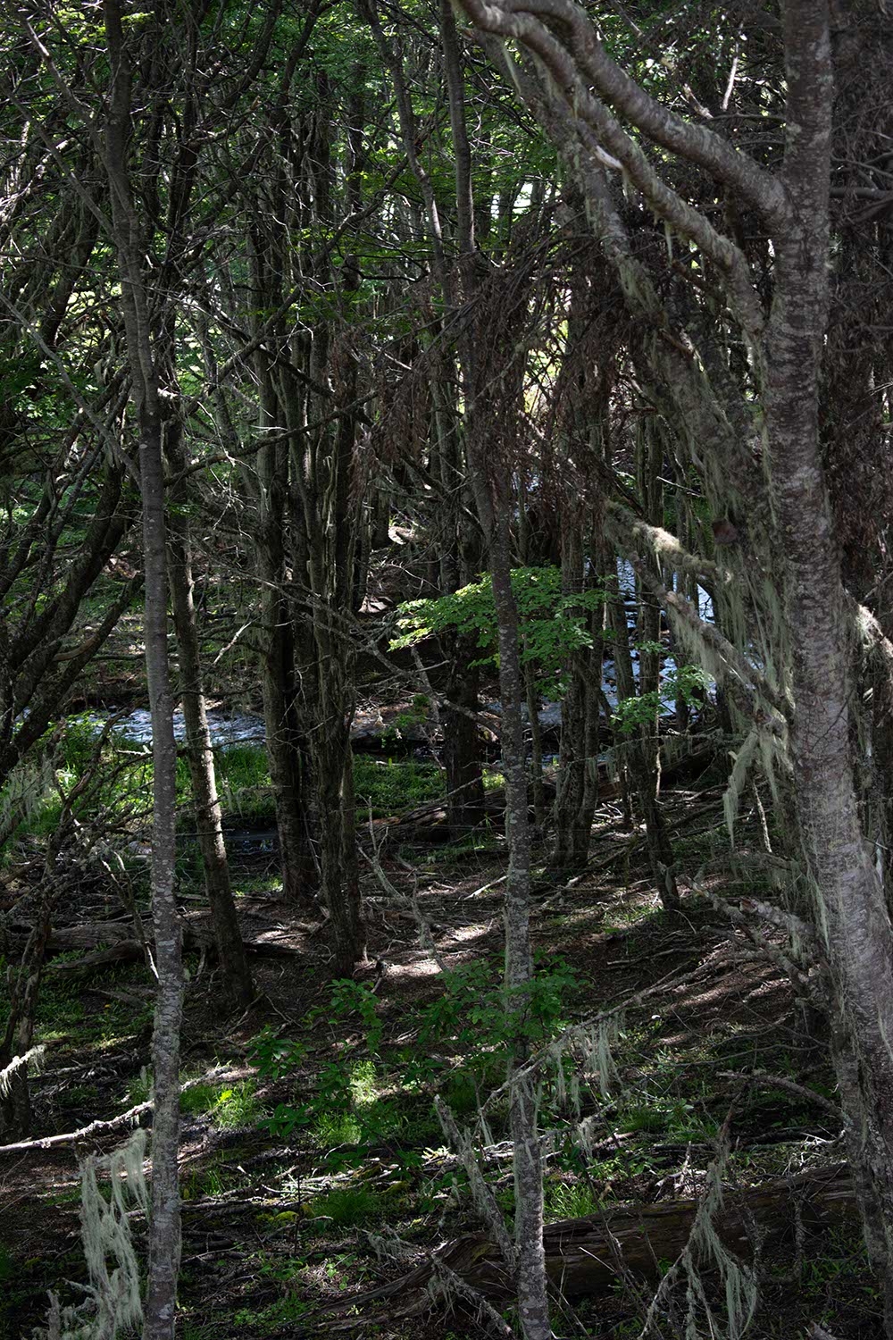 sector_fraile_06 Sector El Fraile